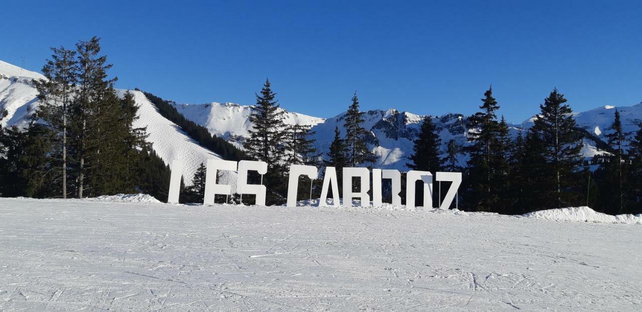 Grand Studio Les Carroz d'Araches Exterior foto